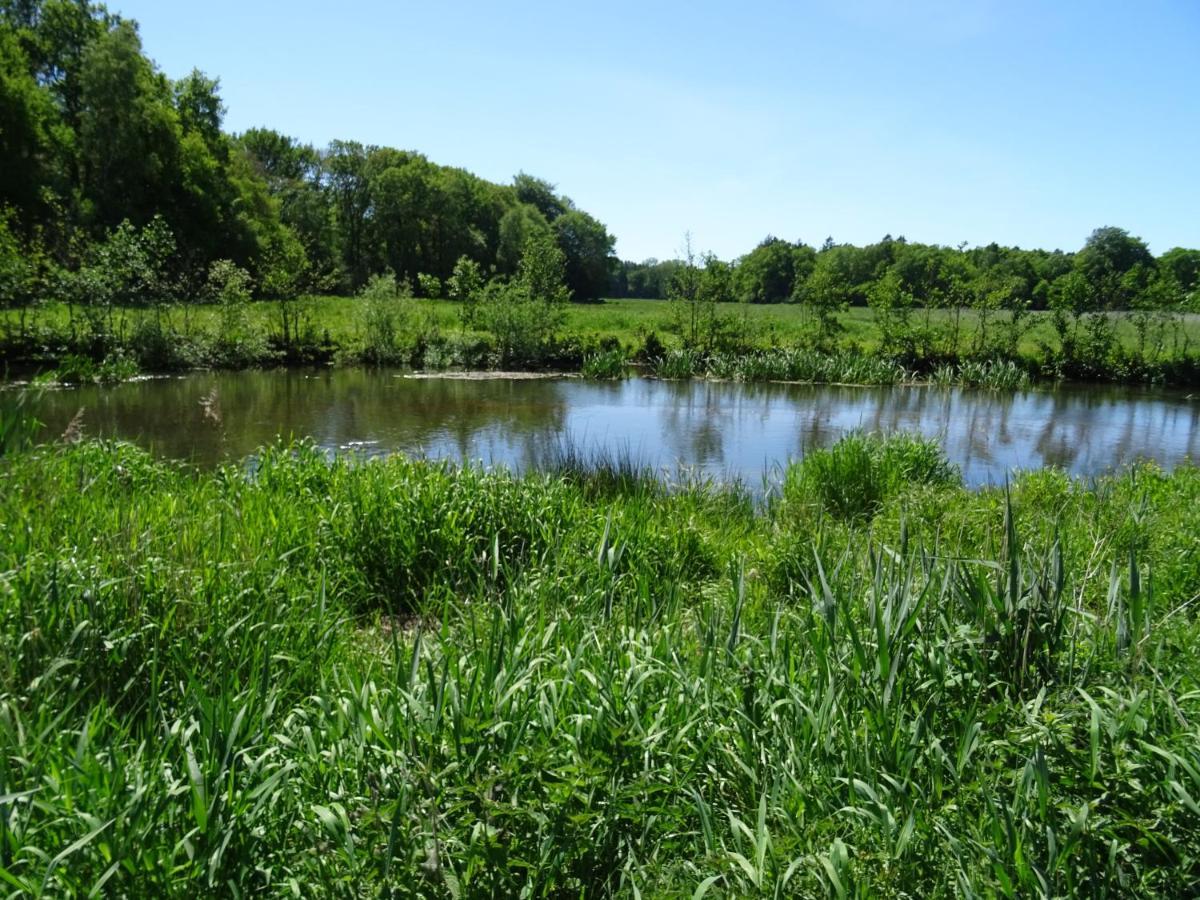 Haus Wald Und Wiese Wohnung Wiese Ehndorf Bagian luar foto