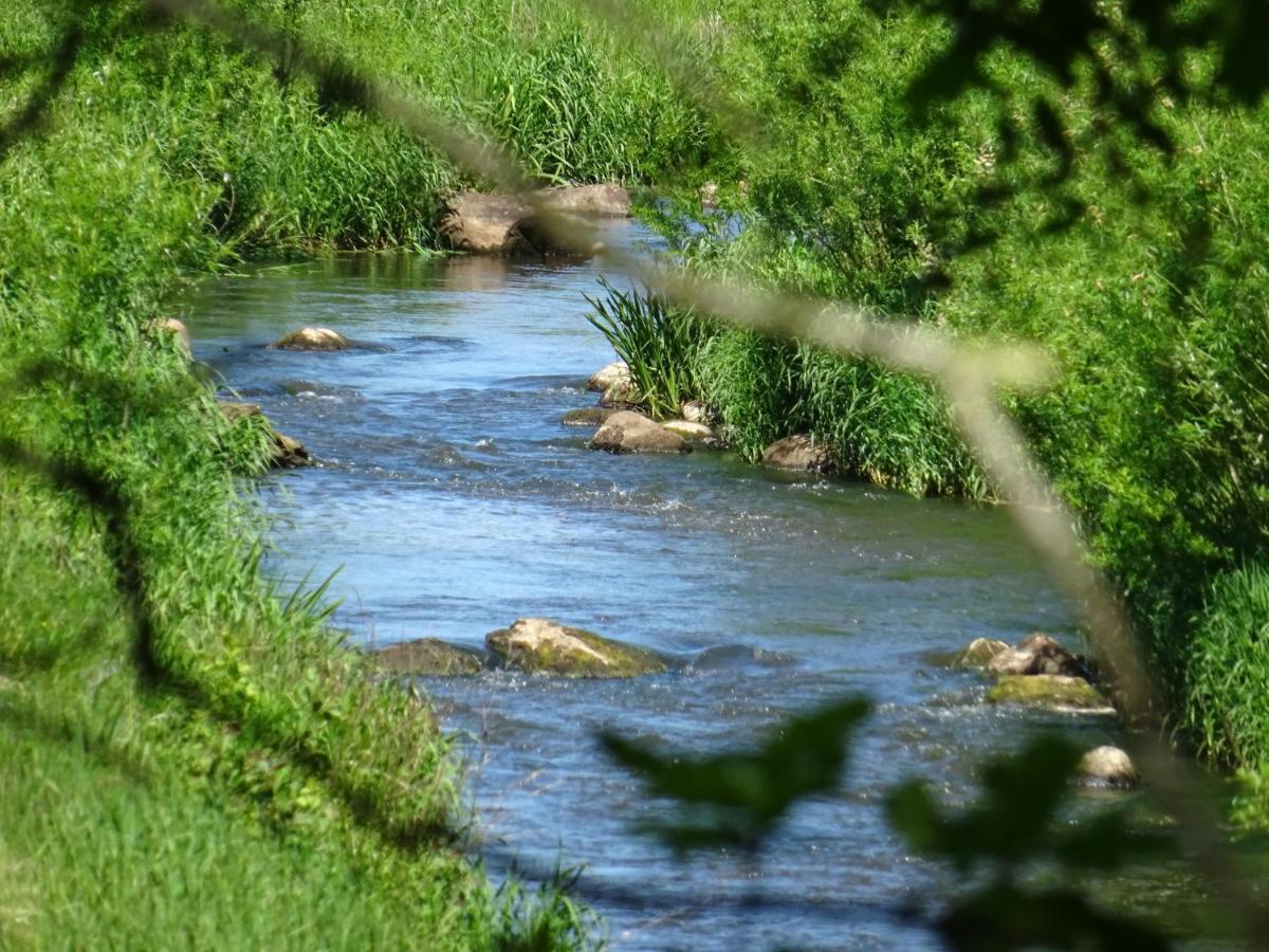 Haus Wald Und Wiese Wohnung Wiese Ehndorf Bagian luar foto