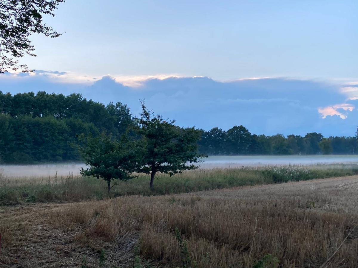Haus Wald Und Wiese Wohnung Wiese Ehndorf Bagian luar foto